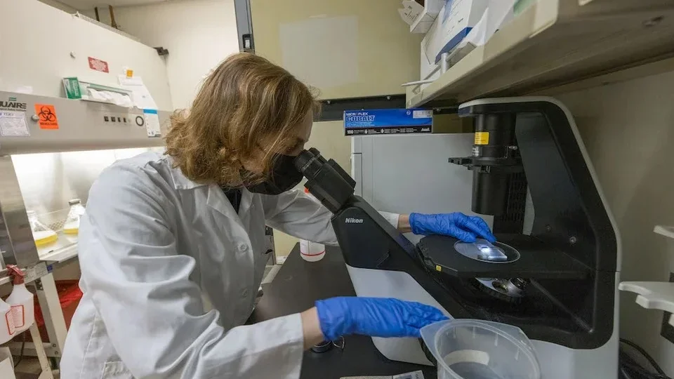 Researcher using a microscope in a laboratory.